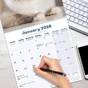 CALENDRIER 2026 - CHATS RADGOLL