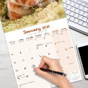 CALENDRIER 2026 - HAMSTERS