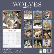 CALENDRIER 2026 - LOUPS