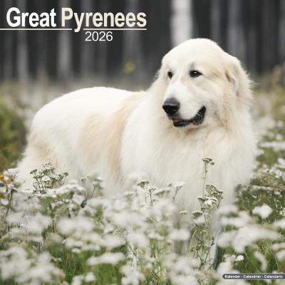 CALENDRIER 2026 - MONTAGNE DES PYRENEES