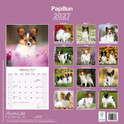 CALENDRIER 2027 - EPAGNEUL PAPILLON NAIN