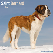 CALENDRIER 2027 - SAINT-BERNARD