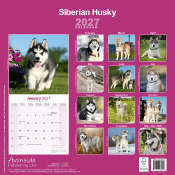 CALENDRIER 2027 - HUSKY  SIBERIEN