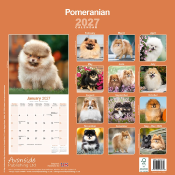 CALENDRIER 2027 - SPITZ NAIN