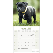 CALENDRIER 2027 - BRAQUE HONGROIS