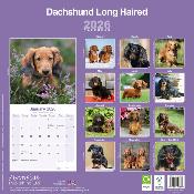 CALENDRIER 2026 - TECKEL POIL LONG