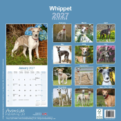 CALENDRIER 2027 - WHIPPET