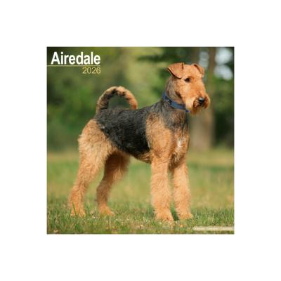 CALENDRIER 2026 - AIREDALE