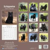 CALENDRIER 2022 - SCHIPPERKE