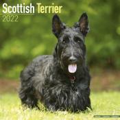 CALENDRIER 2022 - SCOTTISH TERRIER