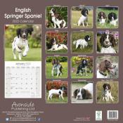 CALENDRIER 2022 - SPRNGER SPANIEL ANGLAIS