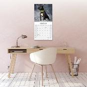 CALENDRIER 2026 - AMERICAN STAFFORDSHIRE TERRIER