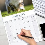 CALENDRIER 2026 - BERGER AUSTRALIEN