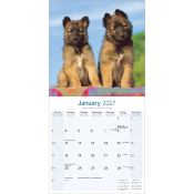 CALENDRIER 2027 - BERGER BELGE