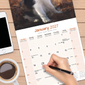 CALENDRIER 2027 - BORDER COLLIE