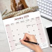 CALENDRIER 2026 - BOXER