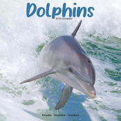 CALENDRIER 2027 - DAUPHINS