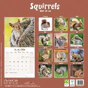 CALENDRIER 2026 - ECUREUILS