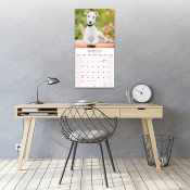 CALENDRIER 2027 - GREYHOUND
