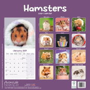 CALENDRIER 2027 - HAMSTERS