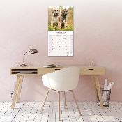 CALENDRIER 2026 - IRISH WOLFHOUND
