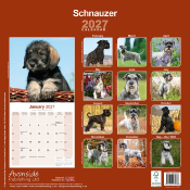 CALENDRIER 2027 - SCHNAUZER