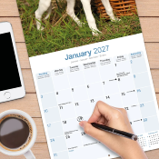 CALENDRIER 2027 - WHIPPET