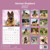 CALENDRIER 2027 - BERGER ALLEMAND