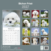 CALENDRIER 2027 - BICHON FRISE