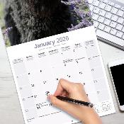 CALENDRIER 2026 - BOUVIER DES FLANDRES