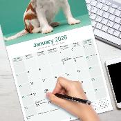 CALENDRIER 2026 - CAVALIER KING CHARLES