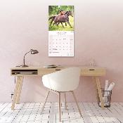 CALENDRIER 2026 - CHEVAUX