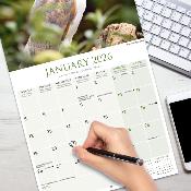 CALENDRIER 2026 - CHOUETTES