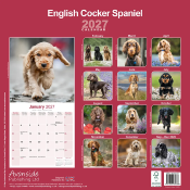 CALENDRIER 2027 - COCKER ANGLAIS
