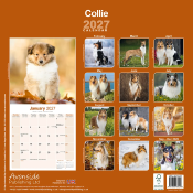 CALENDRIER 2027 - COLLEY