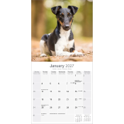 CALENDRIER 2027 - FOX TERRIER