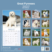 CALENDRIER 2027 - MONTAGNE DES PYRENEES