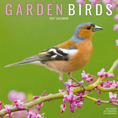 CALENDRIER 2027 - OISEAUX DU JARDIN