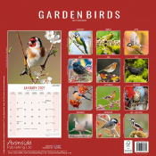 CALENDRIER 2027 - OISEAUX DU JARDIN