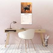 CALENDRIER 2026 -PINSCHER NAIN