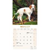 CALENDRIER 2026 - POINTER