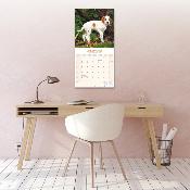 CALENDRIER 2026 - POINTER