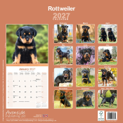 CALENDRIER 2027 - ROTTWEILER