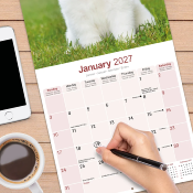 CALENDRIER 2027 - SAMOYEDE