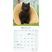 CALENDRIER 2026 - SCHIPPERKE