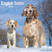CALENDRIER 2026 - SETTER ANGLAIS