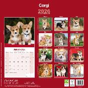 CALENDRIER 2026 - WELSH CORGI