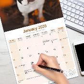 CALENDRIER 2026 - BOSTON TERRIER