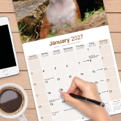 CALENDRIER 2027 - BOXER