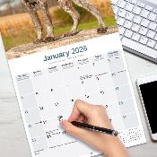 CALENDRIER 2026 - BRAQUE ALLEMAND